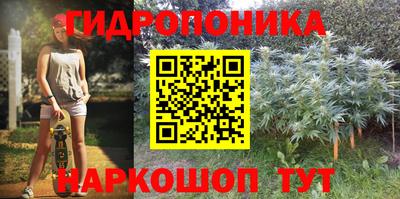 круглые Бийск