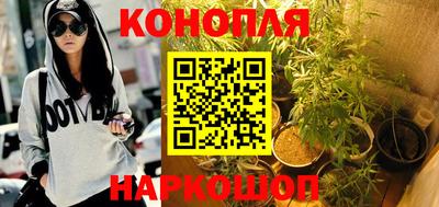 круглые Бийск